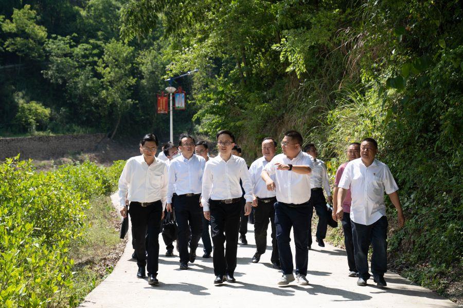 朱承軍赴高橋村考察調研扶貧工作(楊海青 攝) 朱承軍赴高橋村考察調研扶貧工作(楊海青 攝)